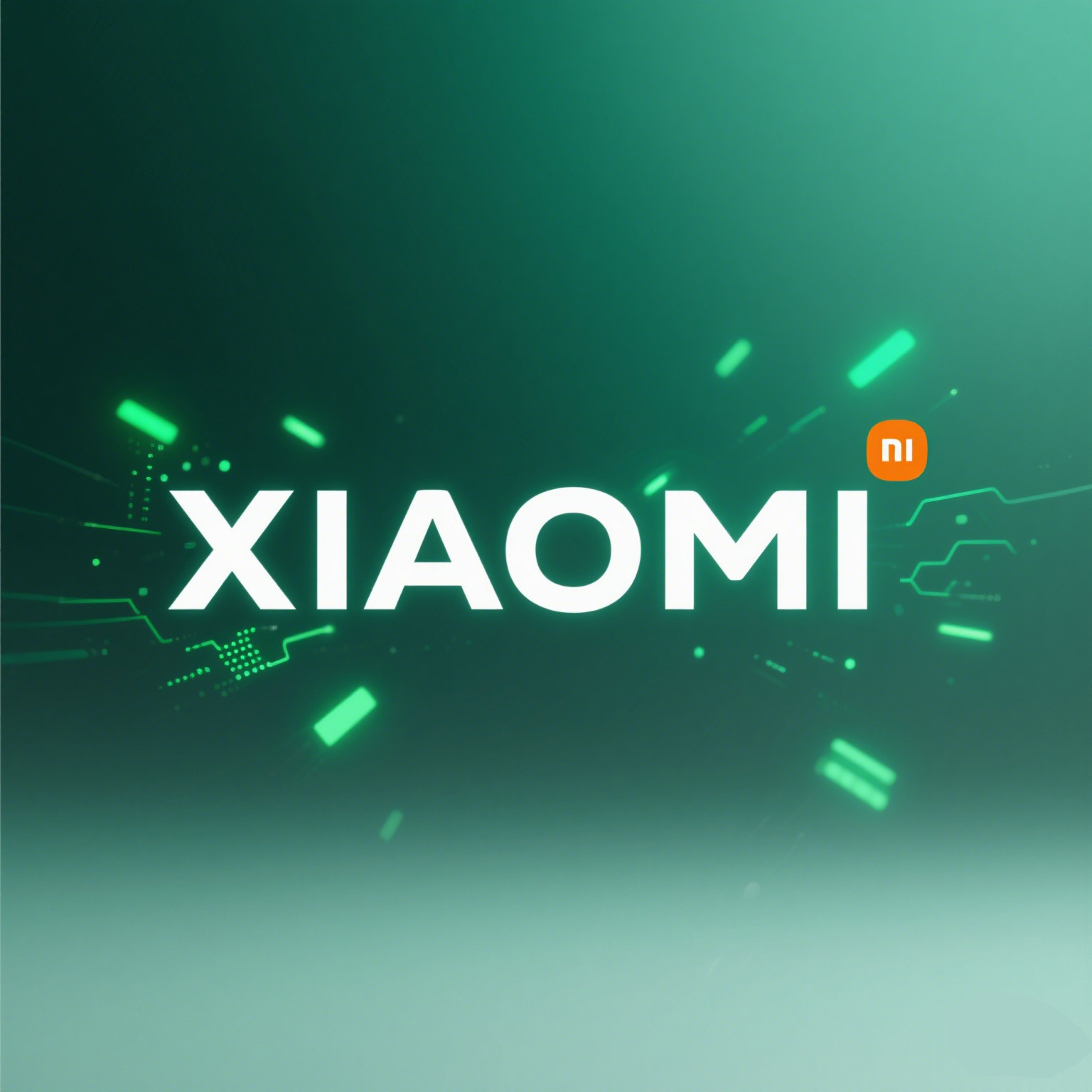 banner2.jpg banner2.jpg